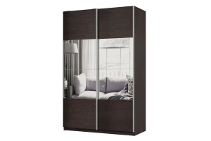 Шкаф-купе 2-дверный Практик