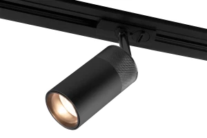 Светильник потолочный Riffe