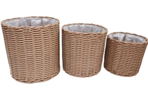 Сет из кашпо Драцена