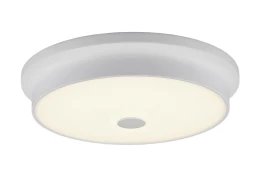 Светильник настенно-потолочный LED Фостер-2