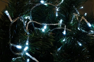 Электрогирлянда ILD100W-C-USB