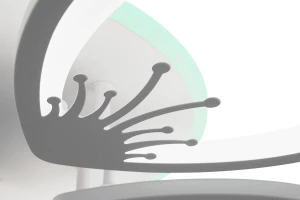 Второе фото. Светильник потолочный Arina