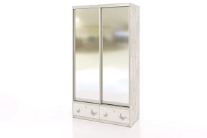 Шкаф-купе 2-дверный Леди