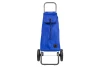 Сумка-тележка на 2 колёсиках IMX142 Azul (изображение №1)