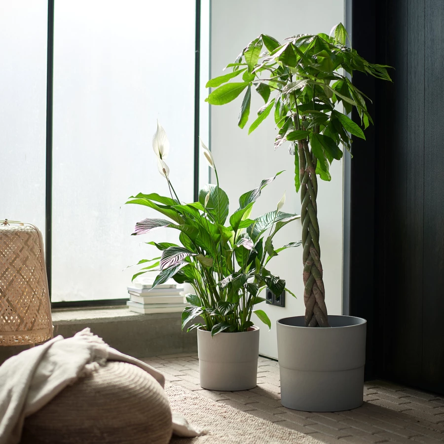 Горшок для растений - IKEA NYPON, 32 см, серый, НИПОН ИКЕА (изображение №3)