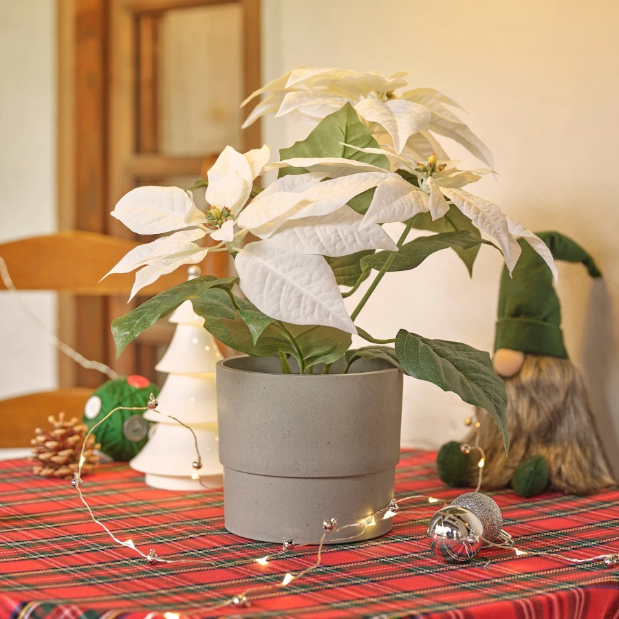 Искусственное растение в горшке - IKEA VINTERFINT, 12 см, ВИНТЕРФИНТ ИКЕА (изображение №3)