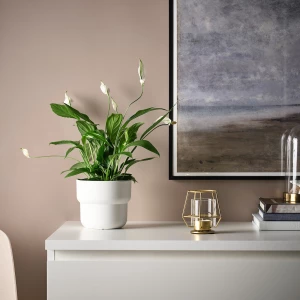 Второе фото. Подсвечник - IKEA PÄRLBAND/PARLBAND/ПЭРЛБАНД ИКЕА, 10х9 см, золотой/прозрачный