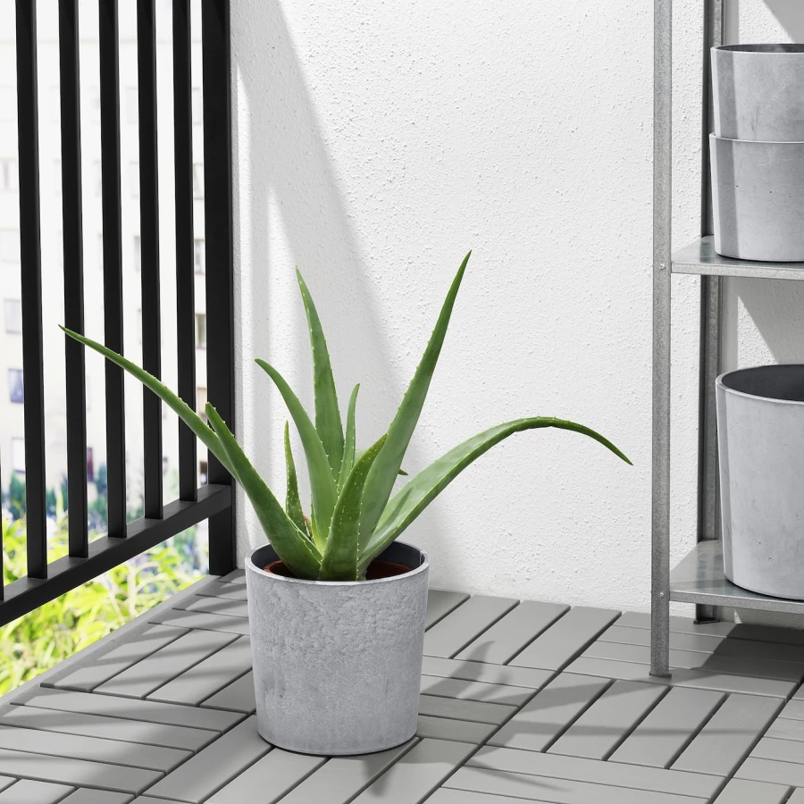 Горшок для растений - IKEA BOYSENBÄR/BOYSENBAR, 19 см, светло-серый, БОЙСЕНБЭР ИКЕА (изображение №2)
