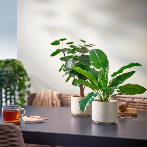 Второе фото. SANDKÖRSBÄR Крышка для цветочного горшка ИКЕА