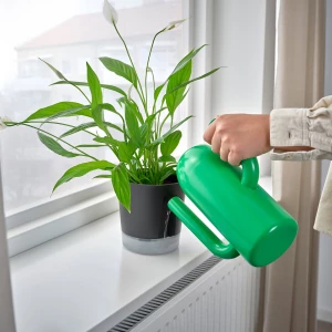 Второе фото. VÅRDTRÄD Самополивающееся кашпо ИКЕА