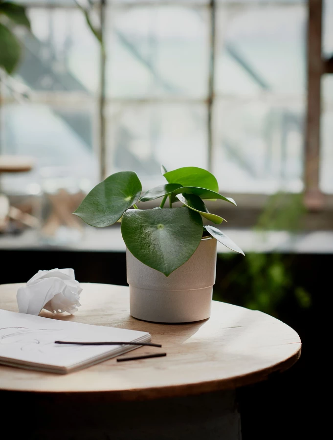 Горшок для растений - IKEA NYPON, 12 см, серый, НИПОН ИКЕА (изображение №2)