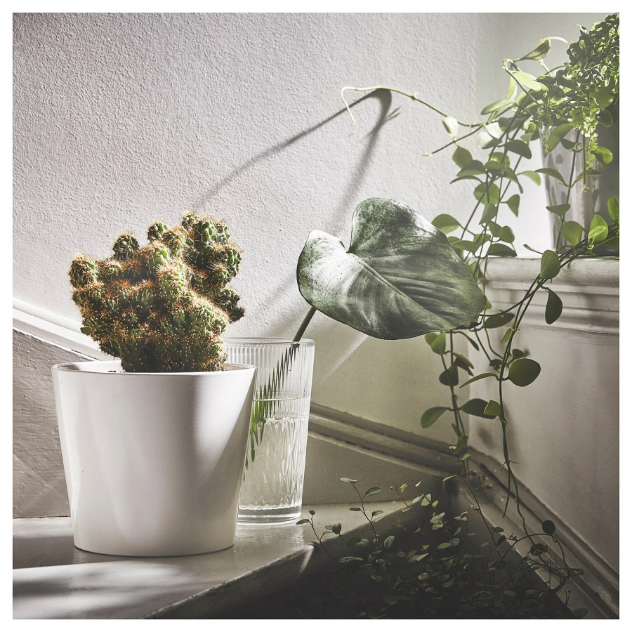 Горшок для растений - IKEA SOJABÖNA/SOJABONA, 15 см, белый, СОЯБОНА ИКЕА (изображение №2)