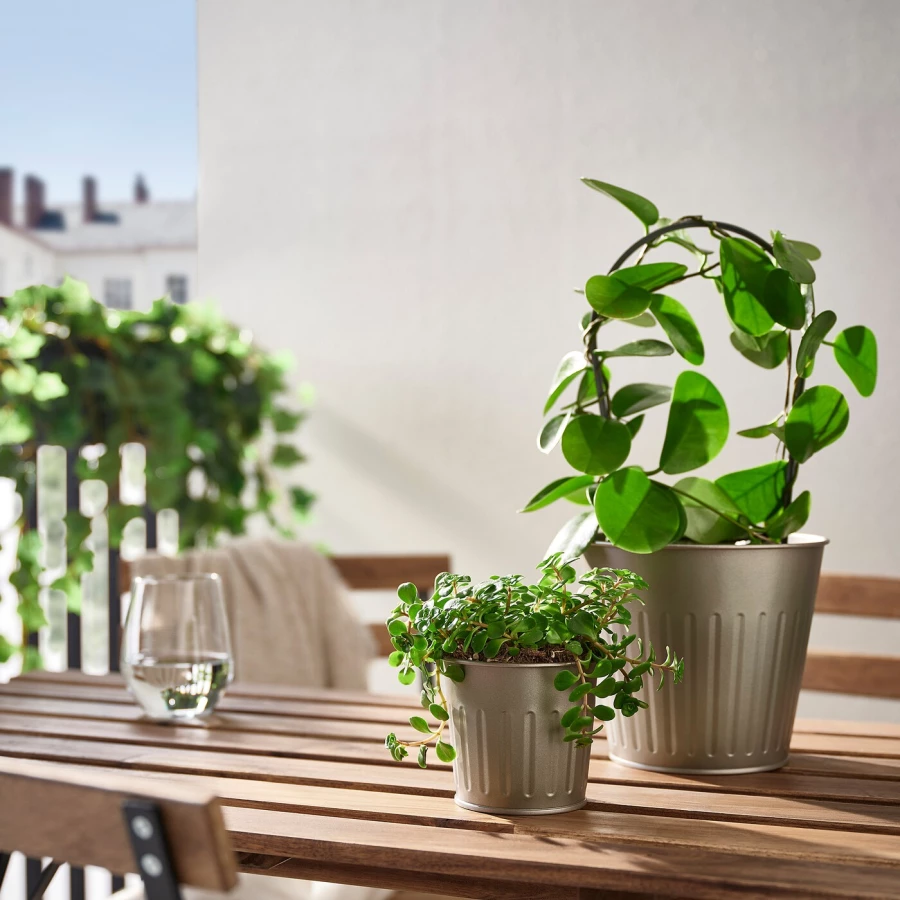 Горшок для растений - IKEA CITRONMELISS, 9 см, серый, ЦИТРОНМЕЛИСС ИКЕА (изображение №3)