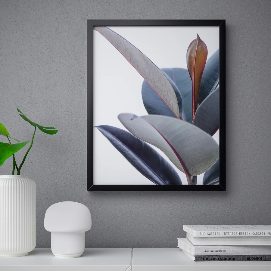 Постер - IKEA BILD, 40х50 см, «Комнатное растение», БИЛЬД ИКЕА (изображение №2)