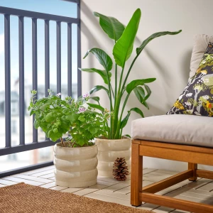 Второе фото. Кашпо IKEA HASSELBUKETT/ХАССЕЛБУКЕТТ ИКЕА, 19 см, бежевый