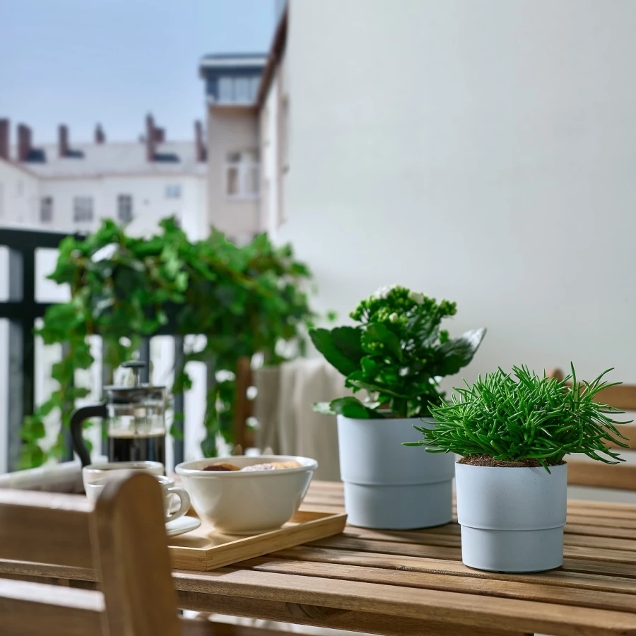 Горшок для растений - IKEA NYPON, 9 см, голубой, НИПОН ИКЕА (изображение №3)