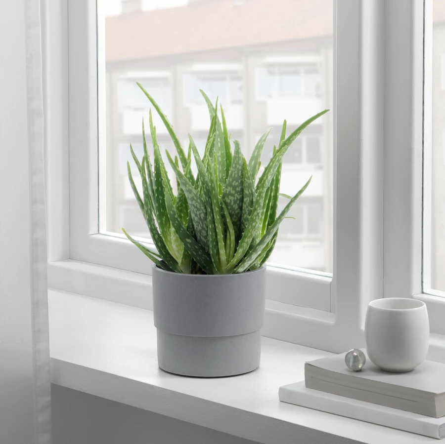 Горшок для растений - IKEA NYPON, 12 см, серый, НИПОН ИКЕА (изображение №5)