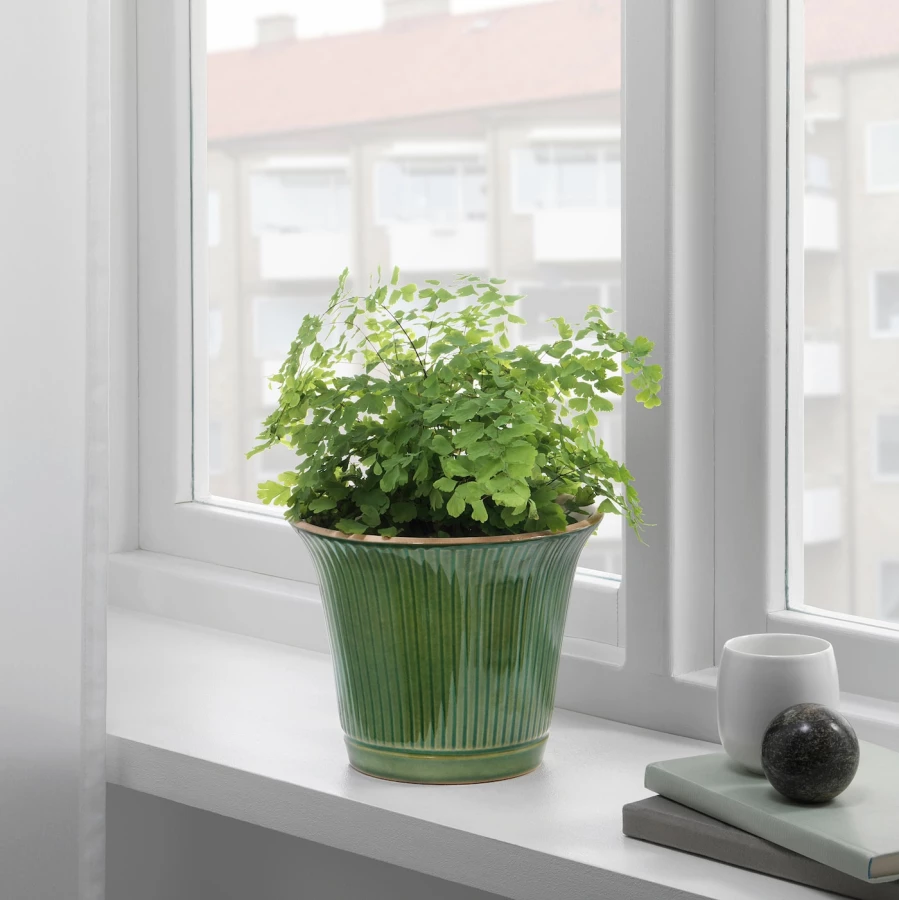 Горшок для растений - IKEA KAMOMILL, 15 см, зеленый, КАМОМИЛЛ ИКЕА (изображение №4)