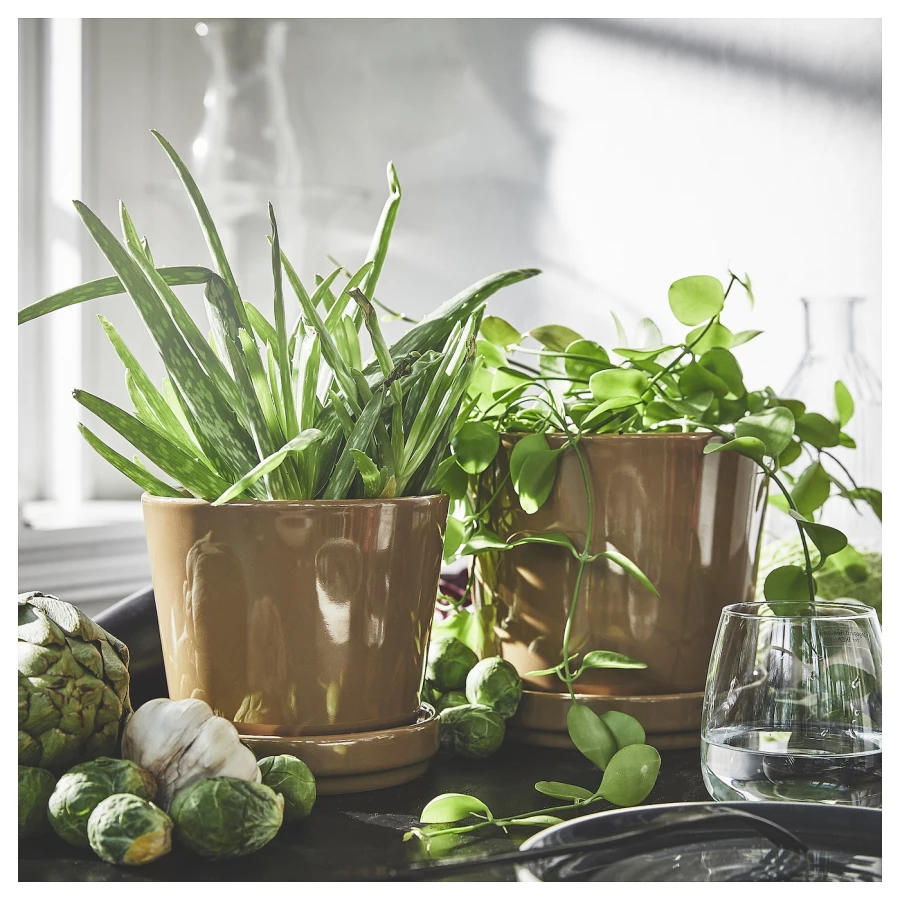 Горшок для растений - IKEA CITRUSFRUKT, 15 см, коричневый, КИТРУСФРУКТ ИКЕА (изображение №3)