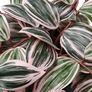 Второе фото. FEJKA Искусственное растение в горшке ИКЕА