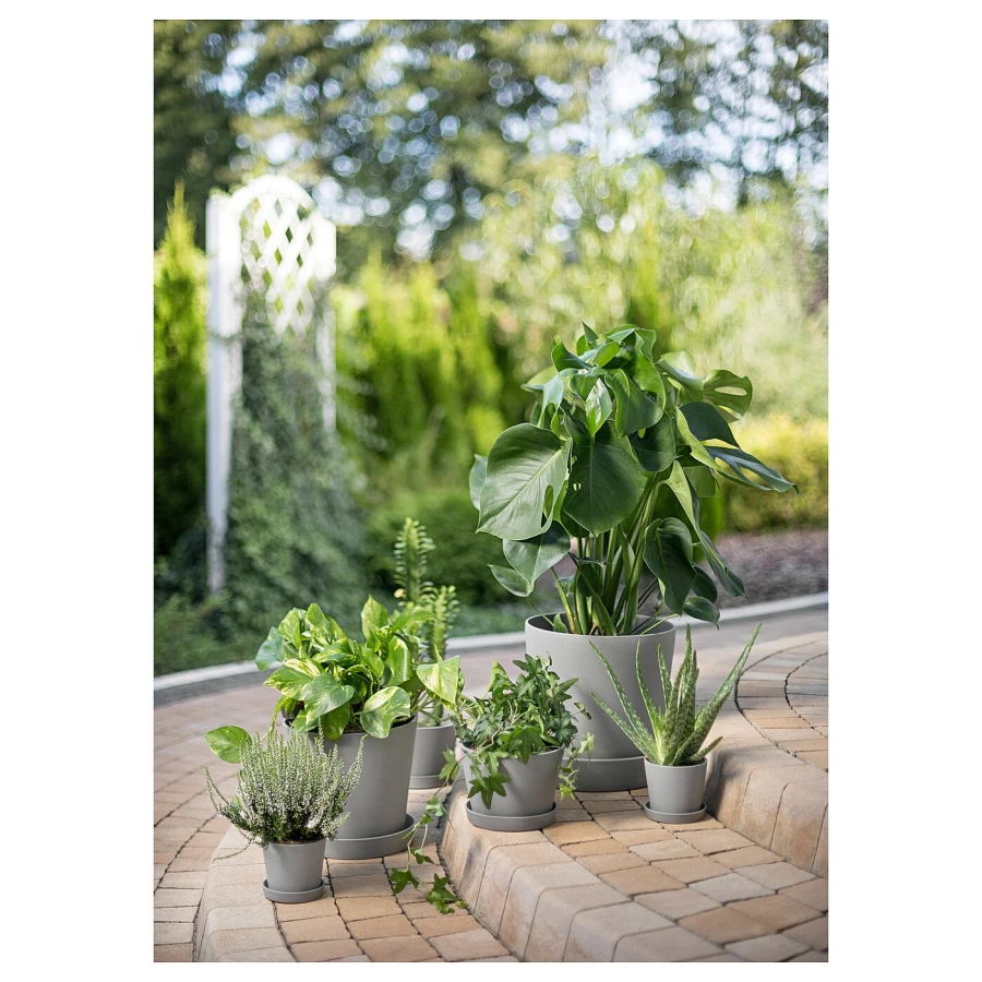 Горшок для растений - IKEA SMULGUBBE, 9 см, серый, СМУЛГУББЕ ИКЕА (изображение №3)