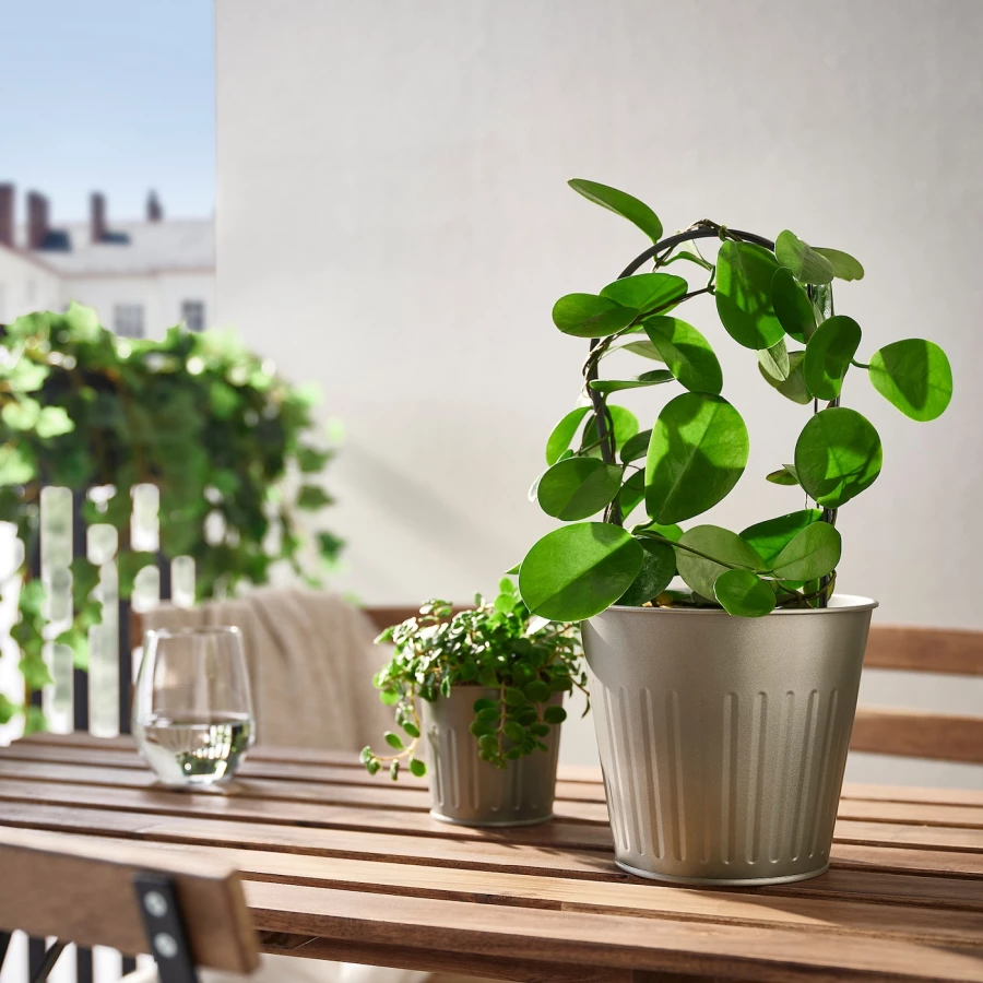 Горшок для растений - IKEA CITRONMELISS, 15 см, серый, ЦИТРОНМЕЛИСС ИКЕА (изображение №3)