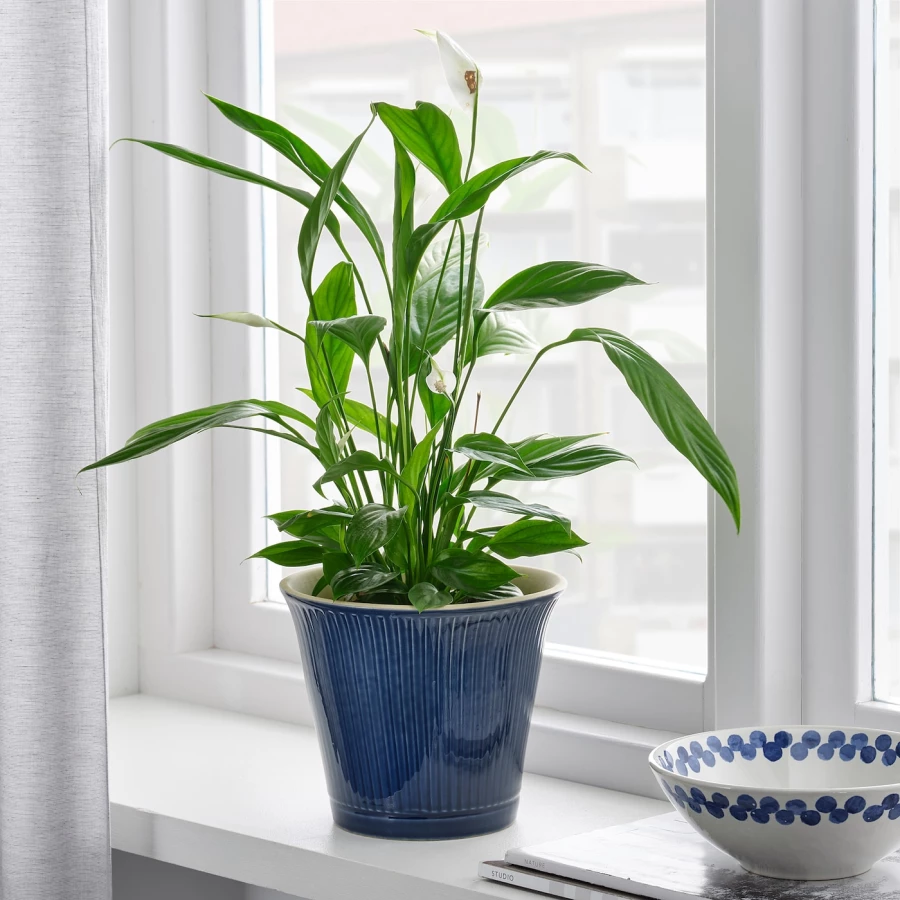 Горшок для растений - IKEA KAMOMILL, 15 см, синий, КАМОМИЛЛ ИКЕА (изображение №2)