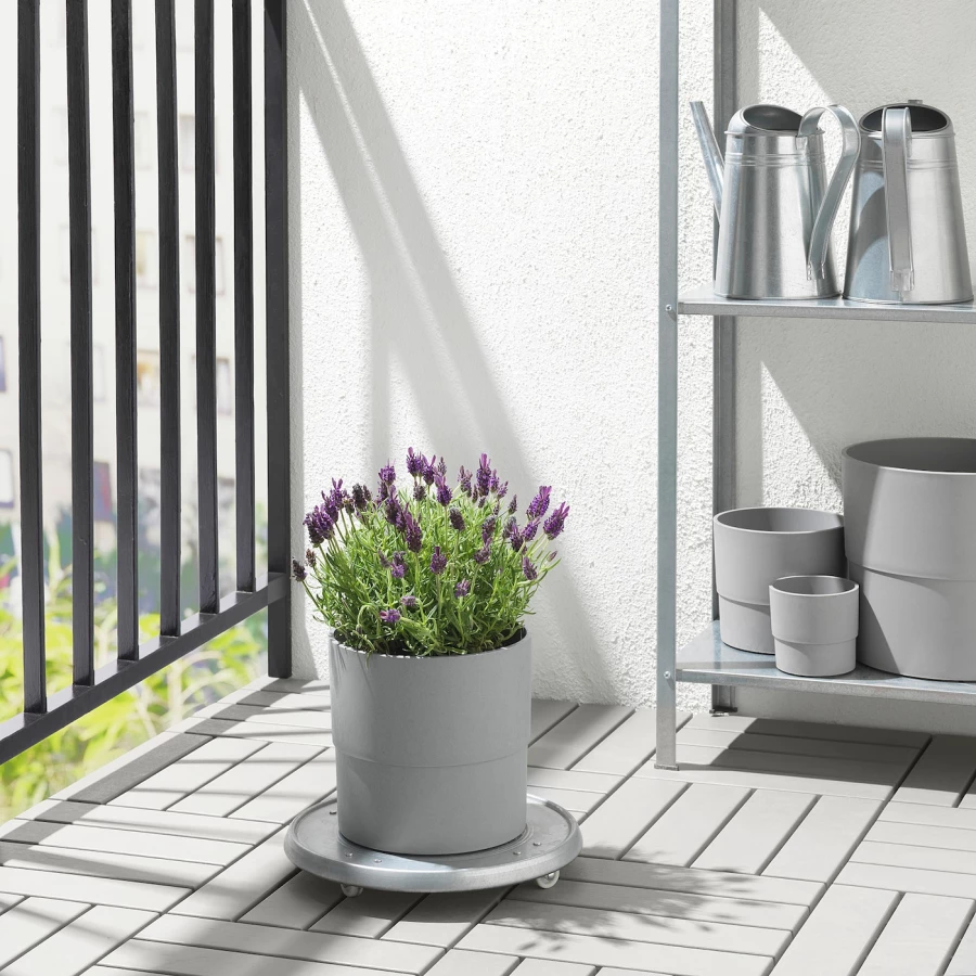 Горшок для растений - IKEA NYPON, 19 см, серый, НИПОН ИКЕА (изображение №2)