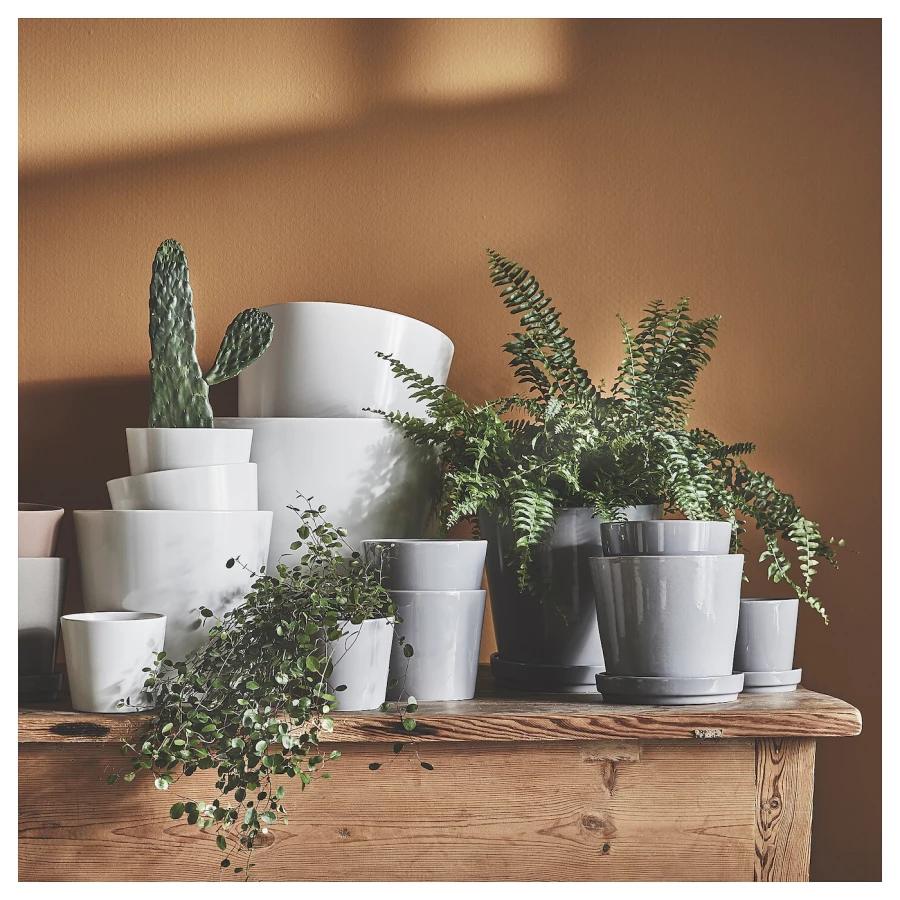 Горшок для растений - IKEA CITRUSFRUKT, 12 см, серый, КИТРУСФРУКТ ИКЕА (изображение №6)