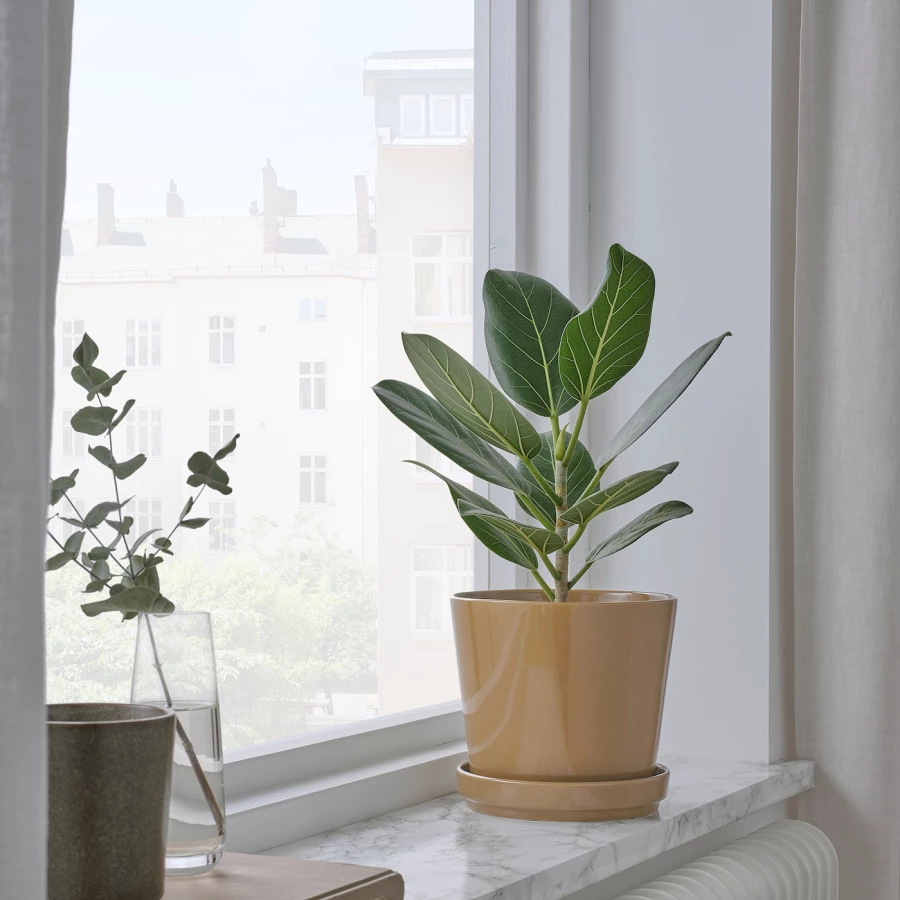 Горшок для растений - IKEA CITRUSFRUKT, 15 см, коричневый, КИТРУСФРУКТ ИКЕА (изображение №2)