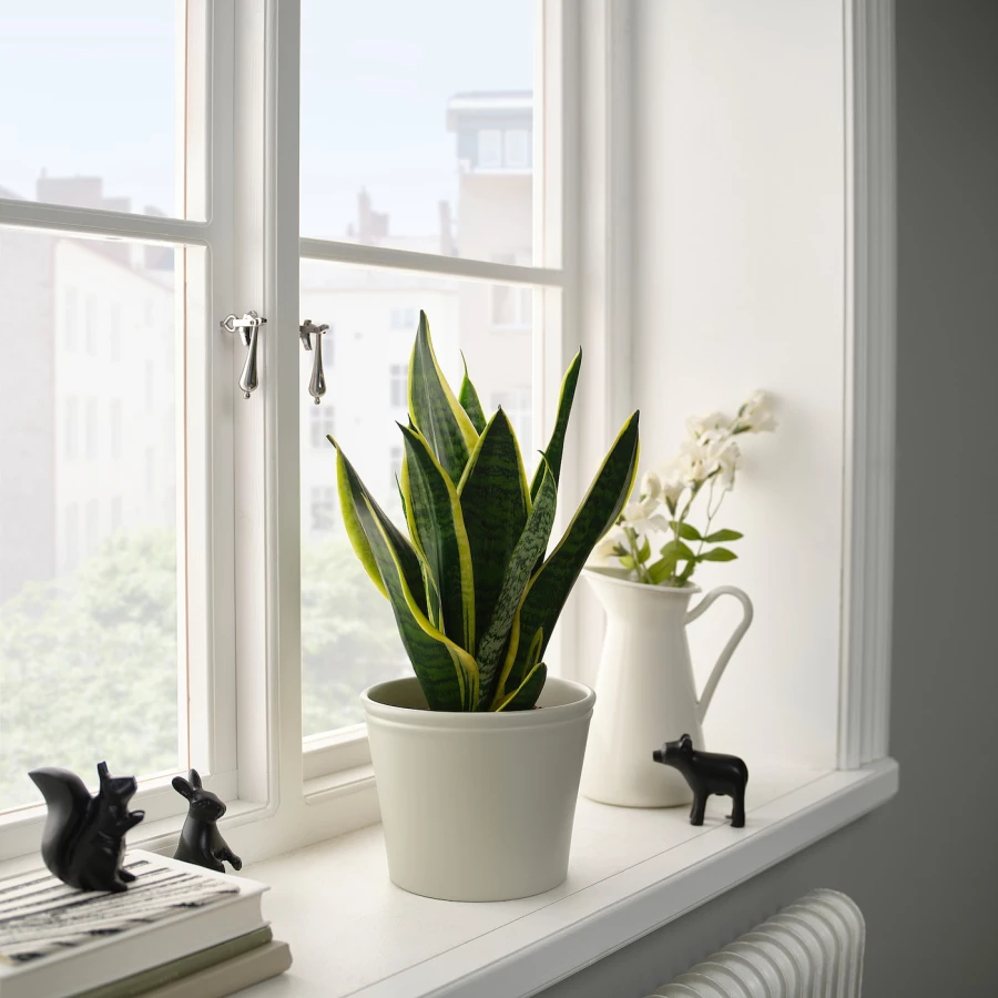Горшок цветочный - IKEA KÖRSBÄRSBJÖRK/КЁРСБЭРСБШЁРК ИКЕА, 15 см, серо-зеленый (изображение №2)