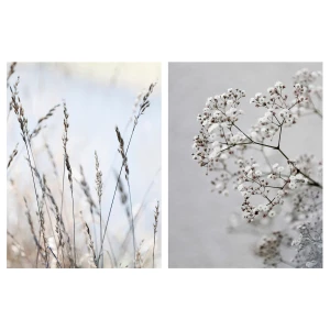 Картина - IKEA PJÄTTERYD/ ПЬЕТТЕРИД ИКЕА, 40х30 см, "Трава на лугу"