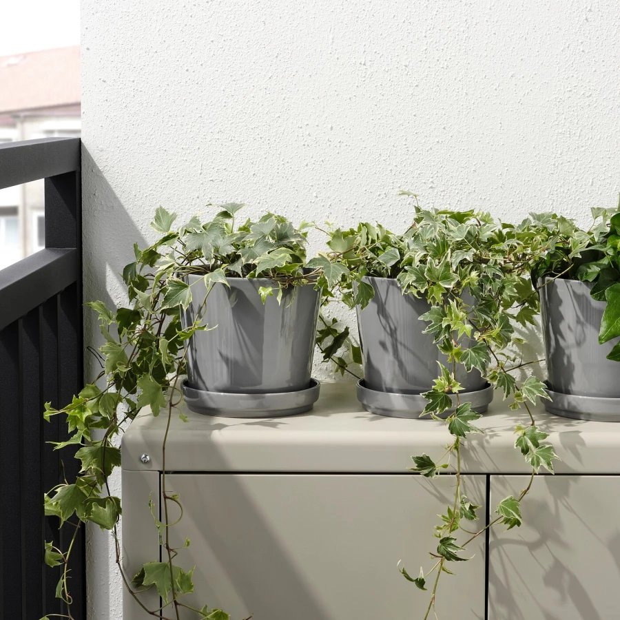 Горшок для растений - IKEA CITRUSFRUKT, 15 см, серый, КИТРУСФРУКТ ИКЕА (изображение №3)