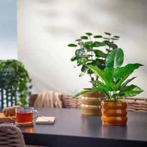 Второе фото. Кашпо IKEA HASSELBUKETT/ХАССЕЛБУКЕТТ ИКЕА, 12 см, оранжевый