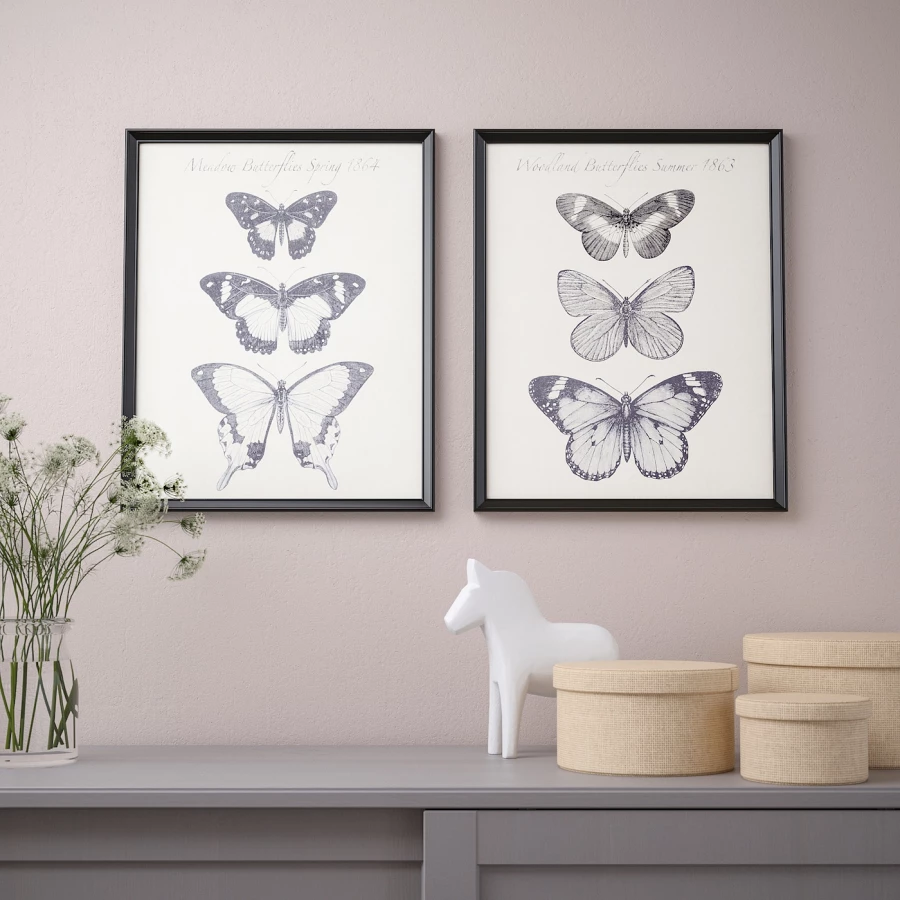 Постер, 2 шт. - IKEA BILD, 40х50 см, «Бабочки», БИЛЬД ИКЕА (изображение №3)