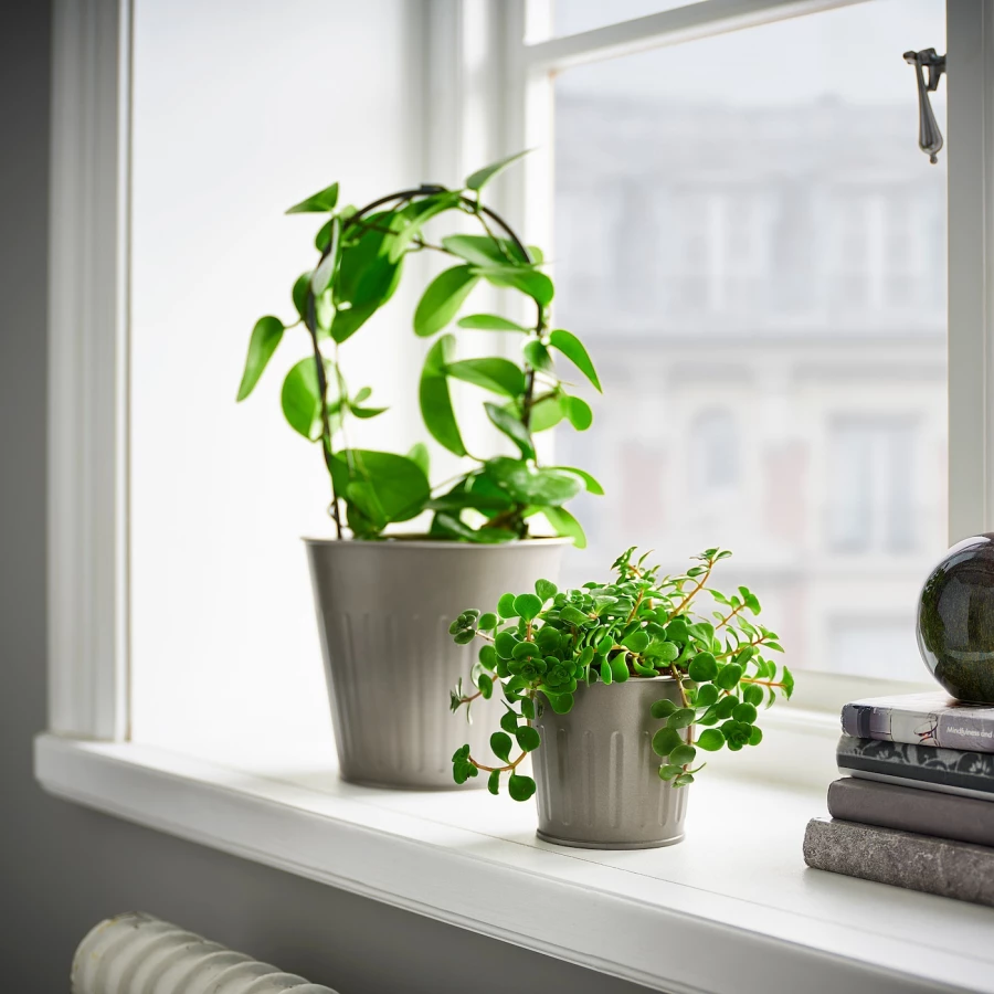 Горшок для растений - IKEA CITRONMELISS, 9 см, серый, ЦИТРОНМЕЛИСС ИКЕА (изображение №2)