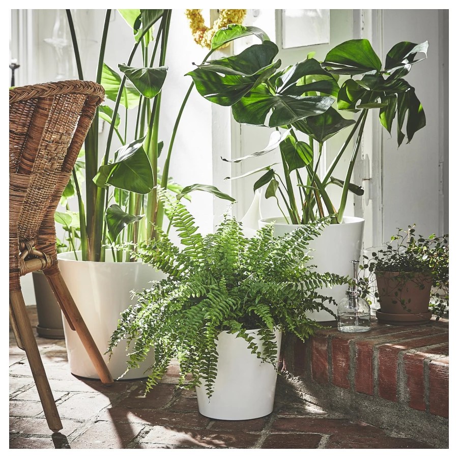 Горшок для растений - IKEA SOJABÖNA/SOJABONA, 19 см, белый, СОЯБОНА ИКЕА (изображение №2)