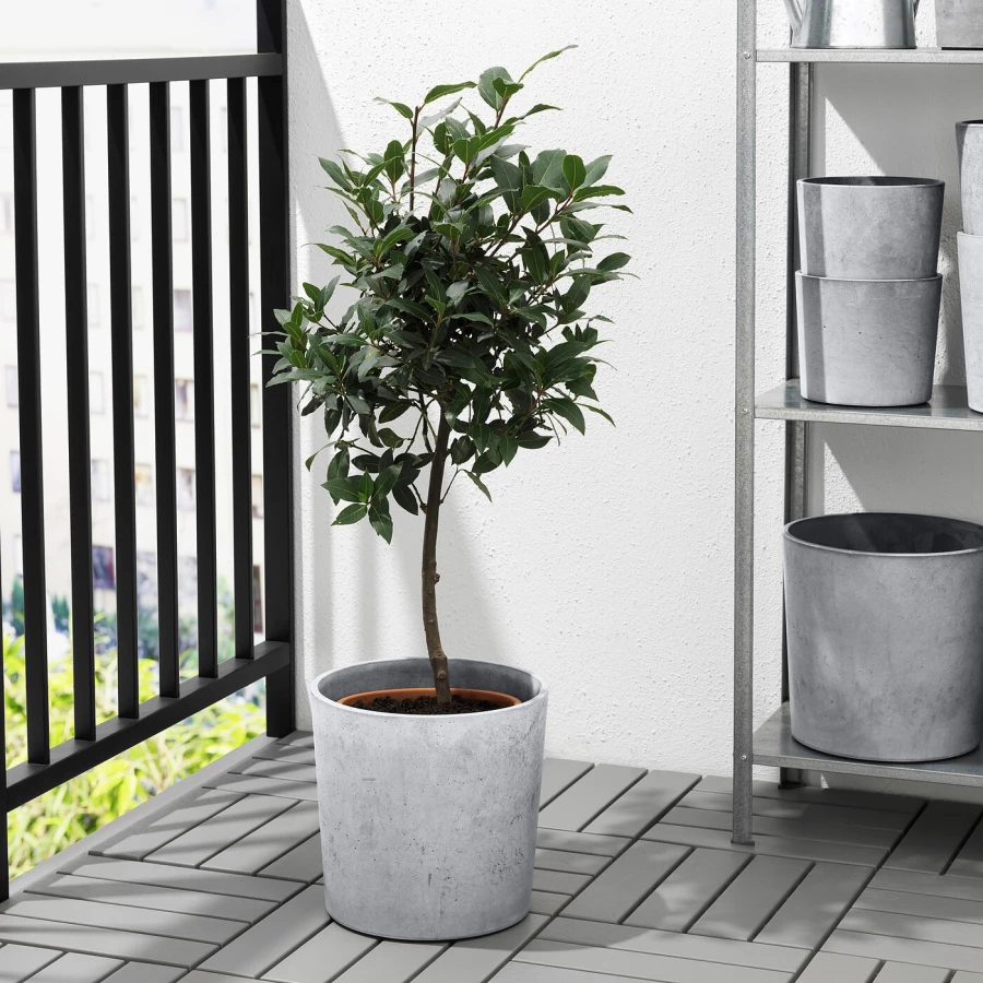 Горшок для растений - IKEA BOYSENBÄR/BOYSENBAR, 24 см, светло-серый, БОЙСЕНБЭР ИКЕА (изображение №3)