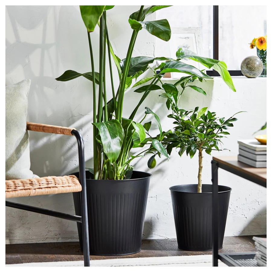 Горшок для растений - IKEA CITRONMELISS, 32 см, антрацит, ЦИТРОНМЕЛИСС ИКЕА (изображение №3)