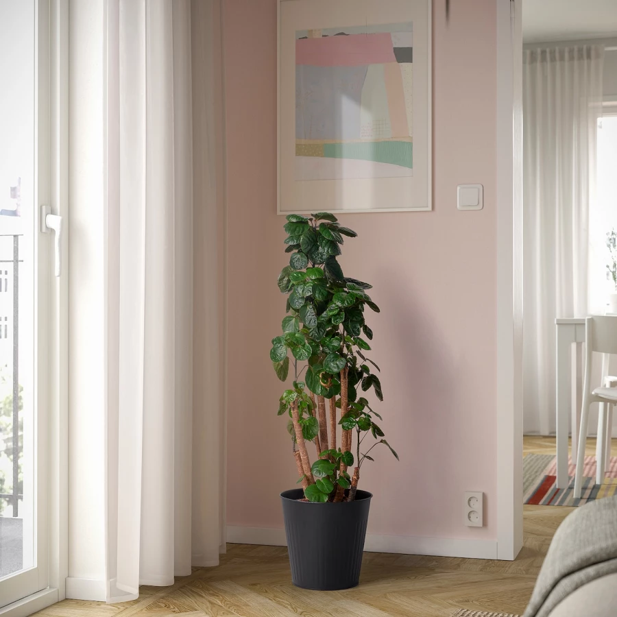 Горшок для растений - IKEA CITRONMELISS, 24 см, антрацит, ЦИТРОНМЕЛИСС ИКЕА (изображение №2)