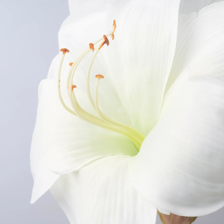 Искусственный цветок - IKEA VINTERFINT, зеленый/белый, ВИНТЕРФИНТ ИКЕА (изображение №6)