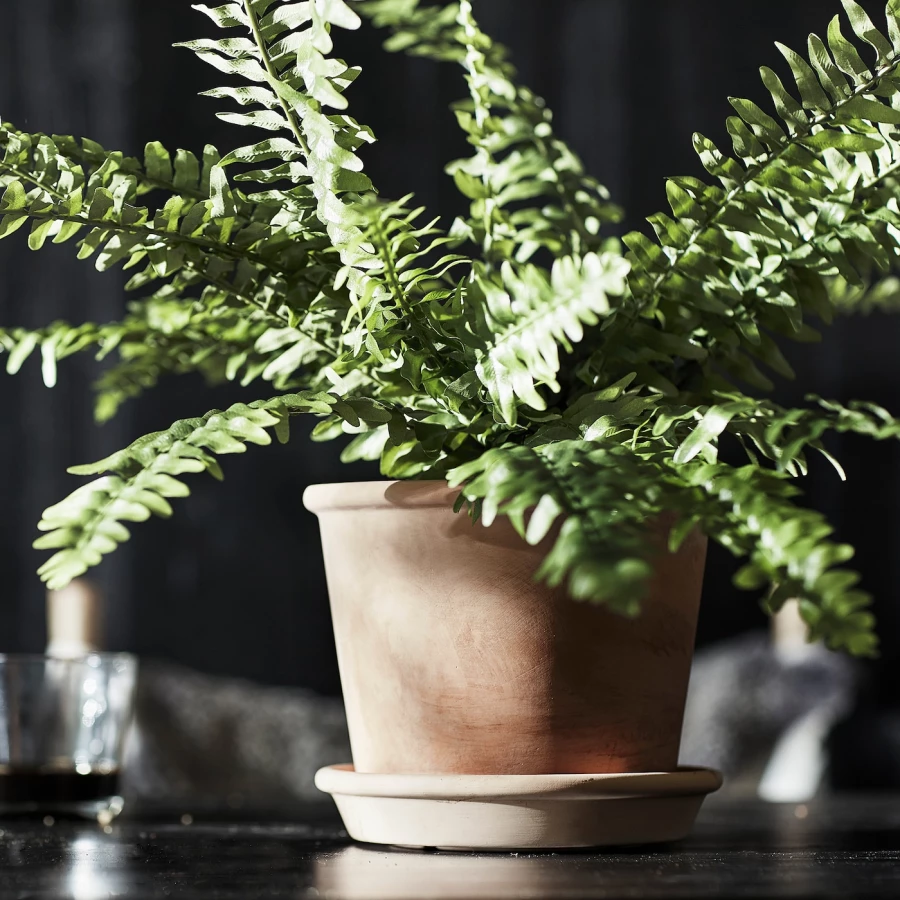 Горшок для растений - IKEA MUSKOTBLOMMA, 15 см, терракотовый, MUSKOTBLOMMA ИКЕА (изображение №4)