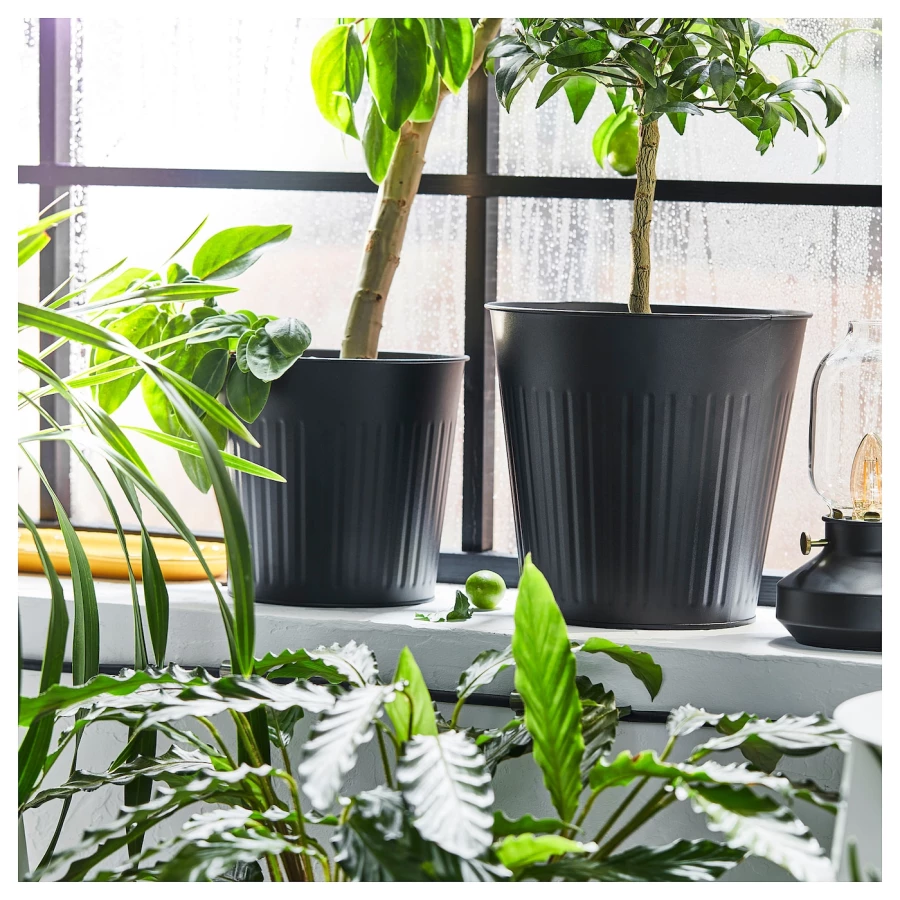 Горшок для растений - IKEA CITRONMELISS, 32 см, антрацит, ЦИТРОНМЕЛИСС ИКЕА (изображение №2)