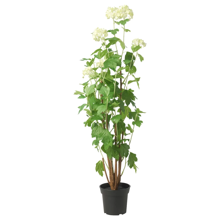 Искусственное растение в горшке - IKEA FEJKA, 15 см, ФЕЙКА ИКЕА (изображение №1)