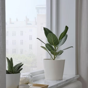 SOJABÖNA Цветочный горшок, 15 см ИКЕА