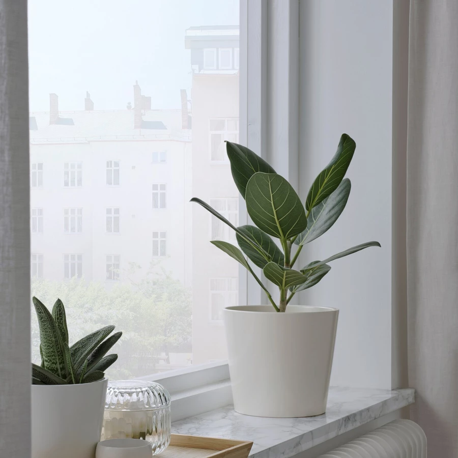 Горшок для растений - IKEA SOJABÖNA/SOJABONA, 15 см, белый, СОЯБОНА ИКЕА (изображение №9)