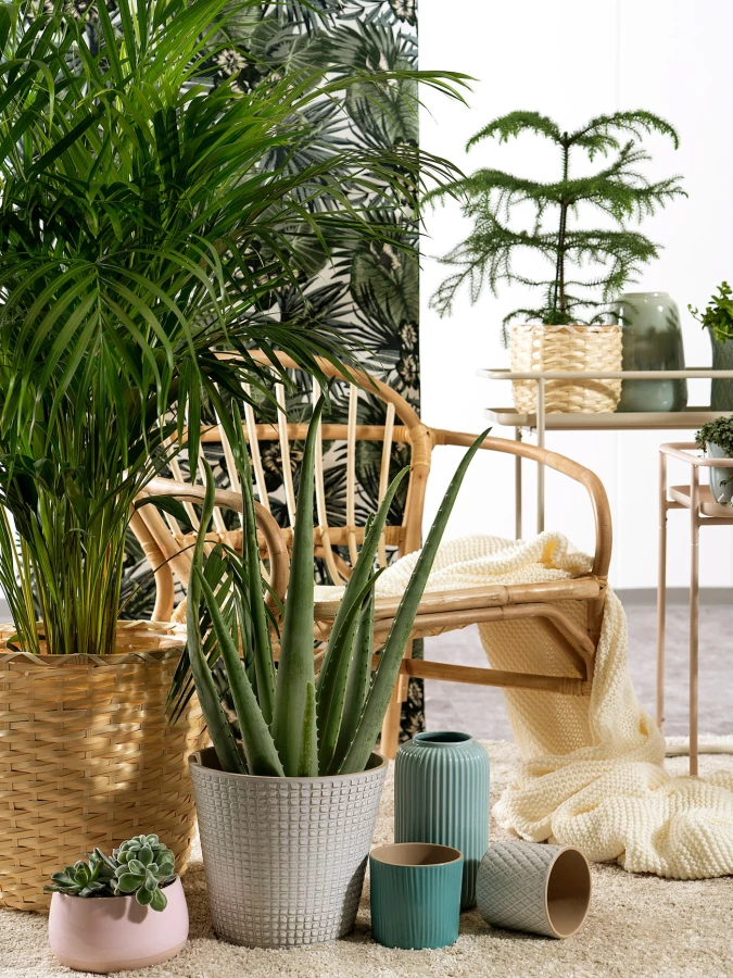 Gedike Begrünungen Luxeriöse Pflanzengefäße Ihr zertifizierter Partner Plant dec