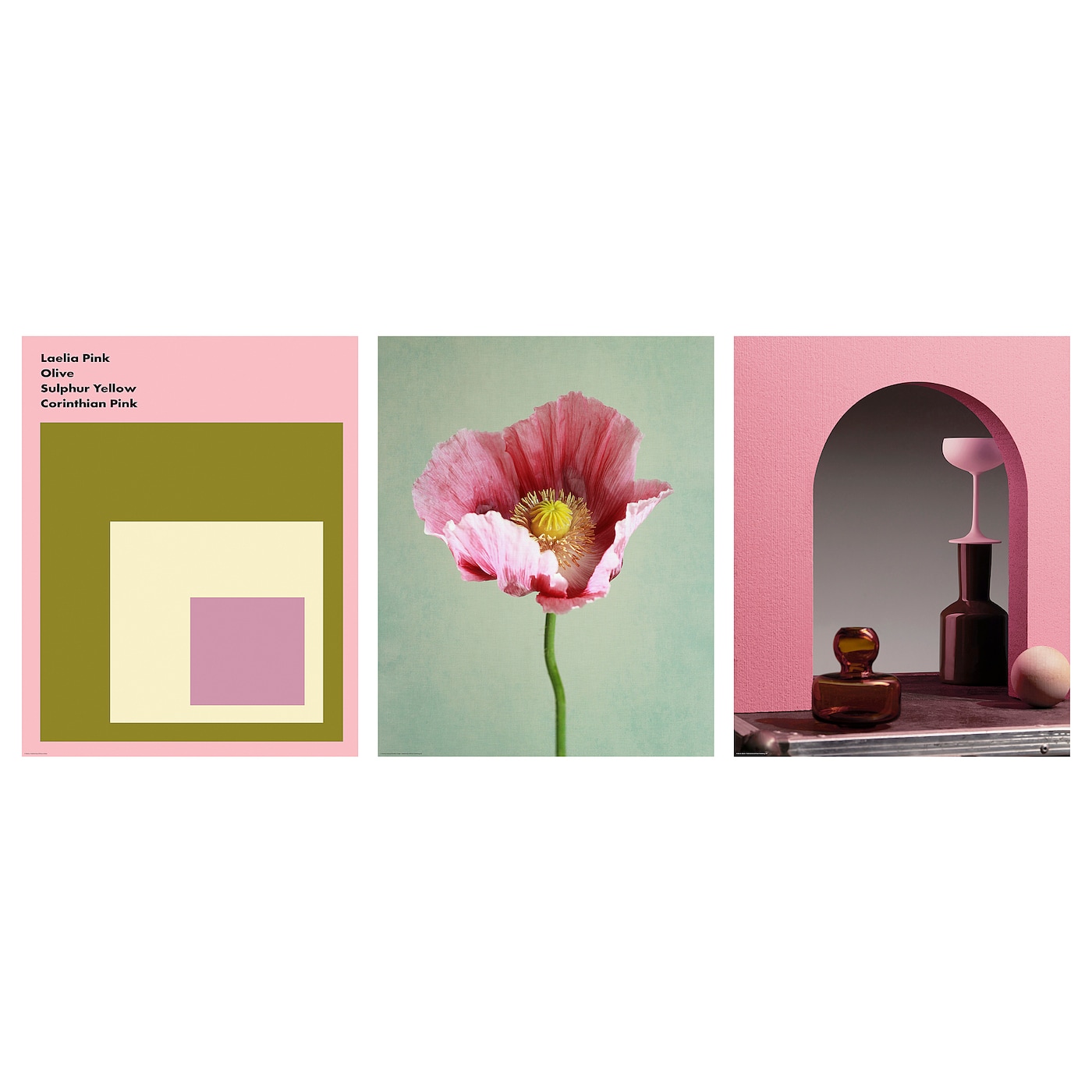 Постер, 3 шт. - IKEA BILD, 40х50 см, «Розовая лаэлия», БИЛЬД ИКЕА