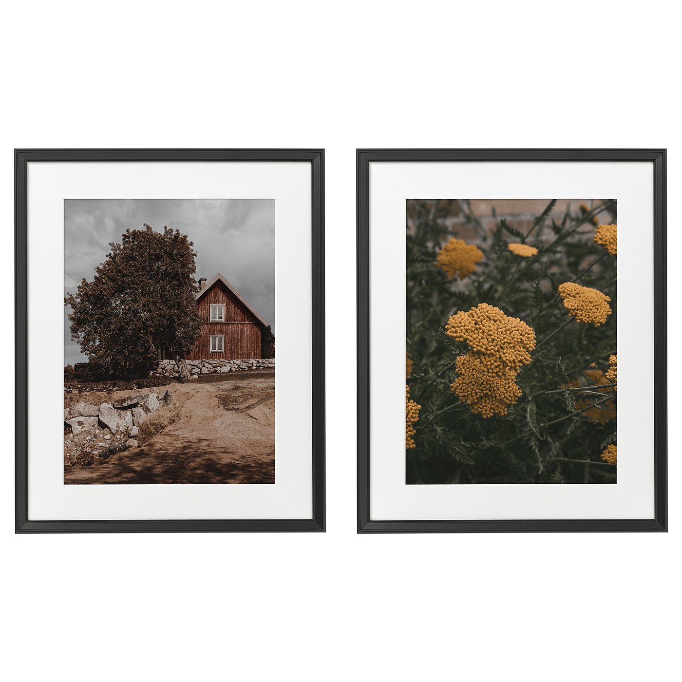 Картина в раме, 2 шт. - IKEA KNOPPÄNG/КНОППЭНГ ИКЕА, 40х50 см,  "Сельская жизнь"