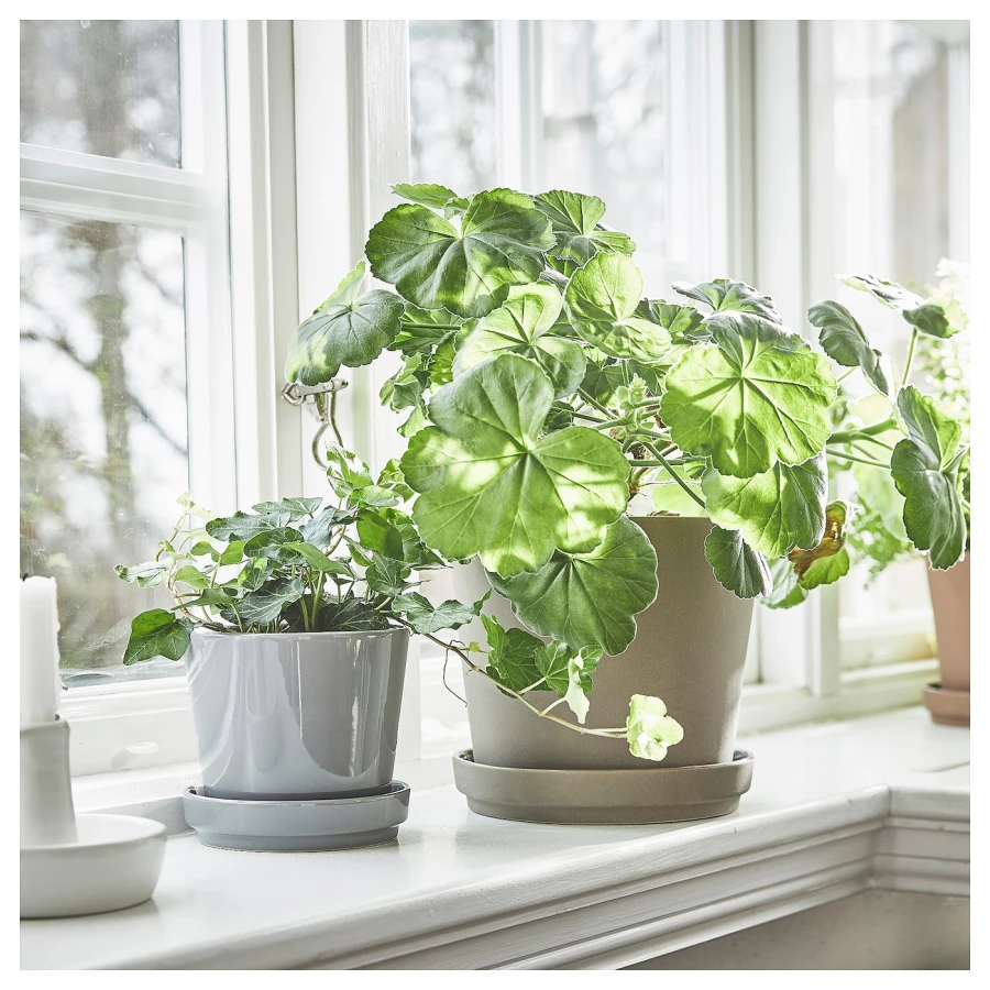 Горшок для растений - IKEA CITRUSFRUKT, 12 см, серый, КИТРУСФРУКТ ИКЕА (изображение №2)